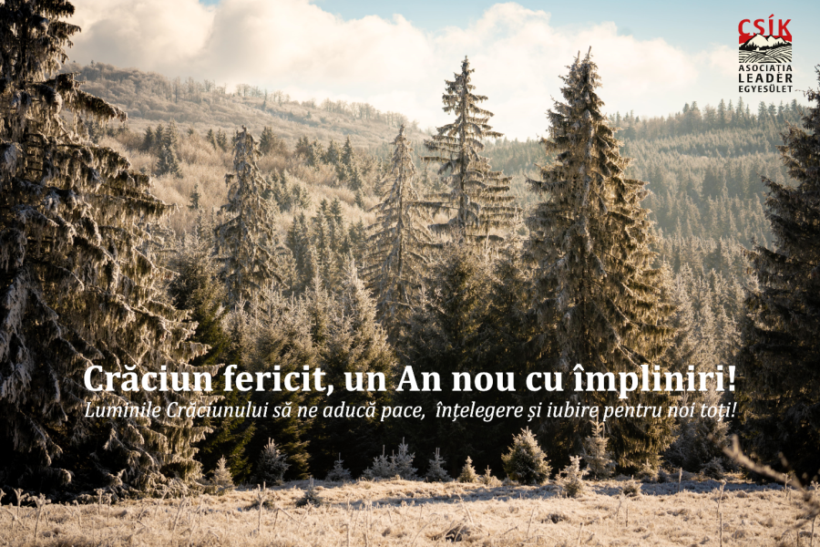 Crăciun fericit, un an nou cu împliniri!